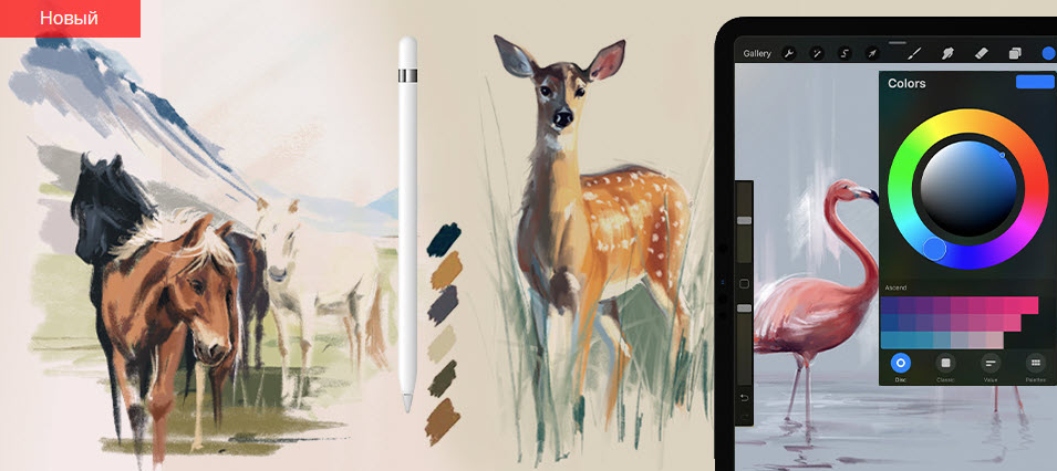 [Дарья Климова] [markerschool] Procreate, цифровая_0.png